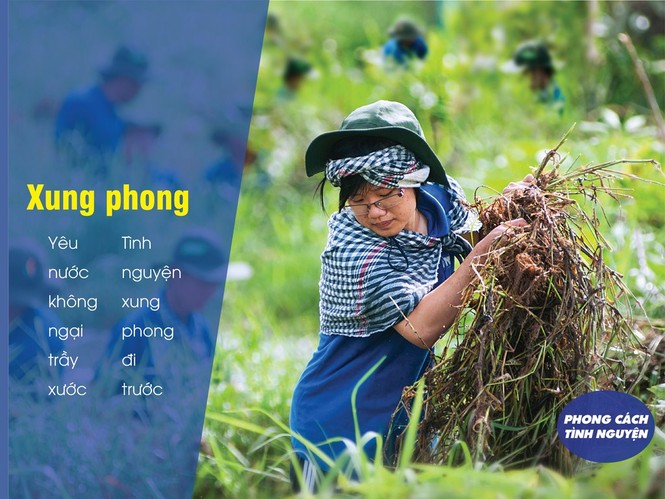 Thế nào là tình nguyện chuẩn? - ảnh 10